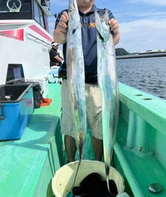 タチウオの釣果