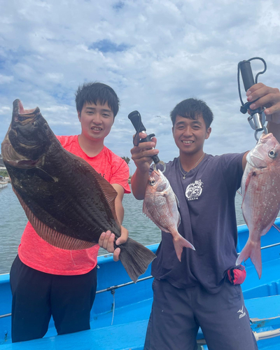 マダイの釣果