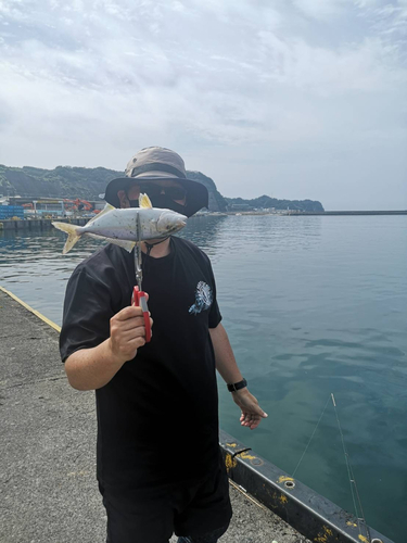 ショゴの釣果