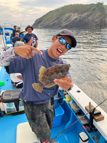 カワハギの釣果