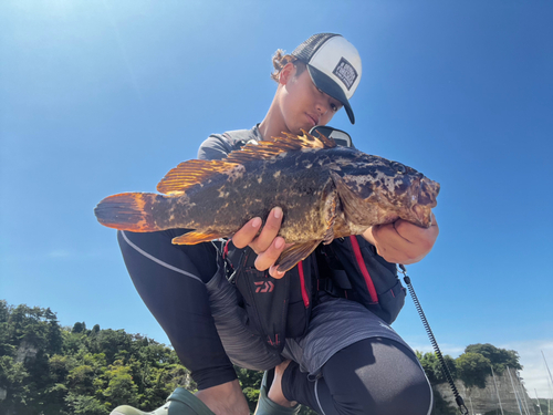 ベッコウゾイの釣果