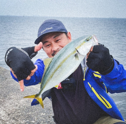 イナダの釣果