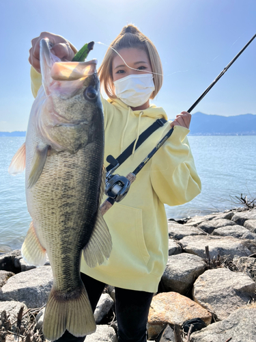 ブラックバスの釣果