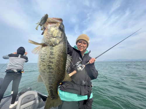 ブラックバスの釣果