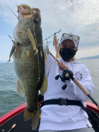 ブラックバスの釣果