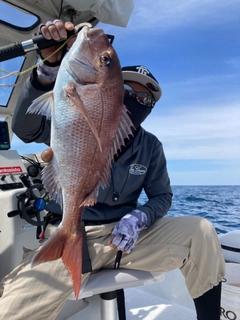 タイの釣果