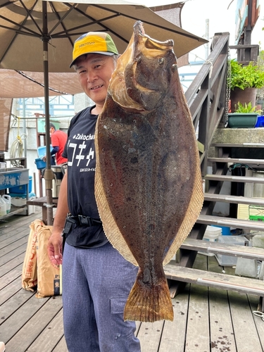 ヒラメの釣果