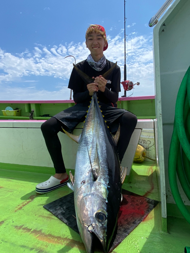 キハダマグロの釣果