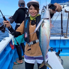 サバの釣果