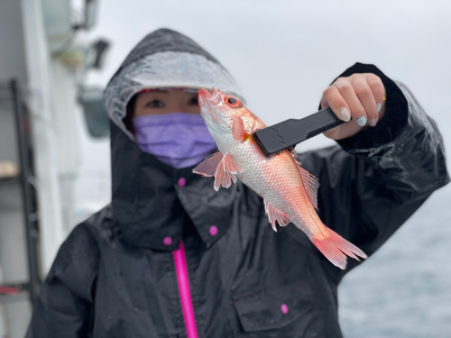 アカムツの釣果