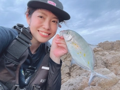 ナンヨウカイワリの釣果