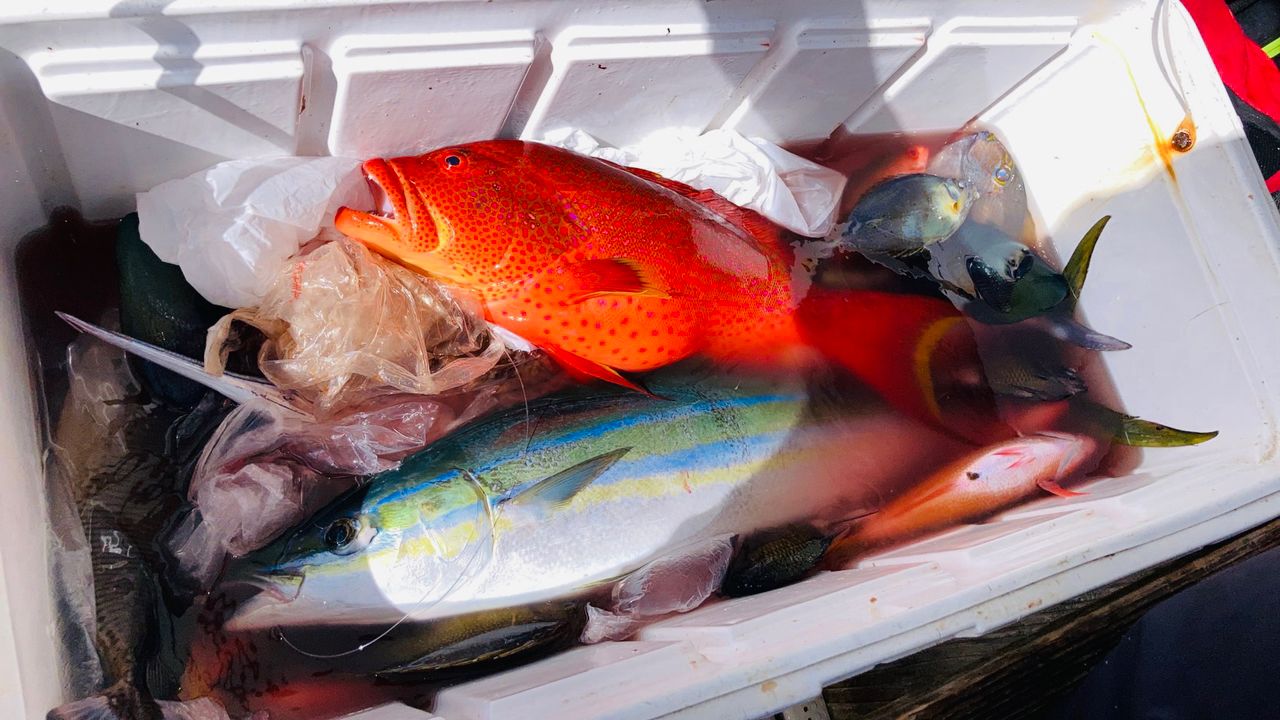 グルクン