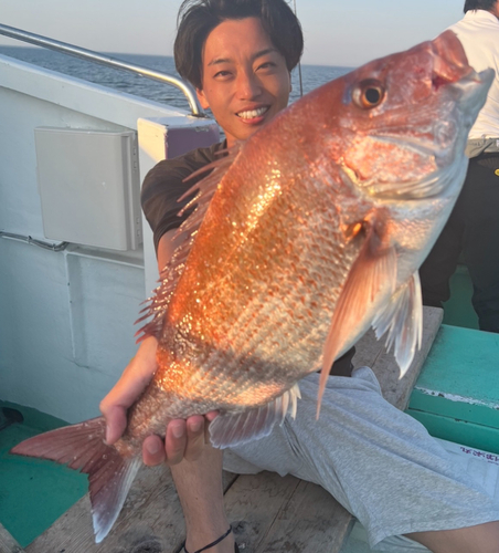 マダイの釣果