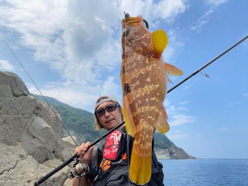 アコウの釣果