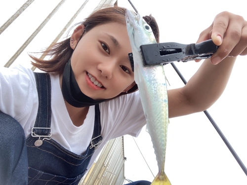 サバの釣果