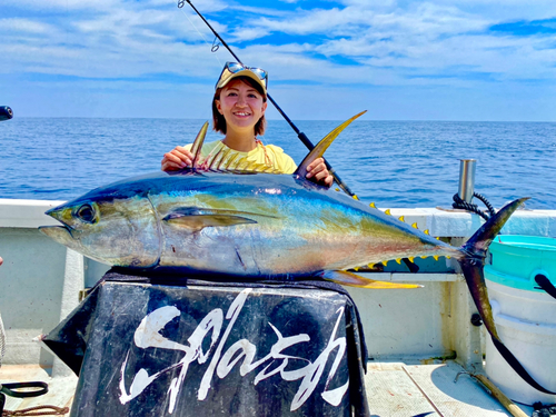 キハダマグロの釣果