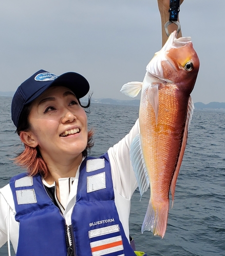 アマダイの釣果