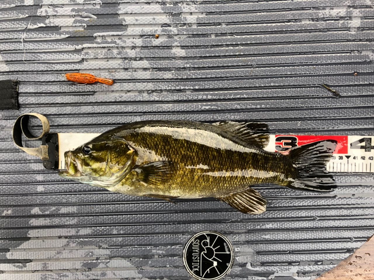 スモールマウスバス