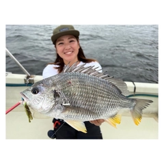 キビレの釣果