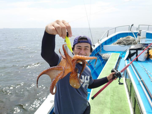 マダコの釣果