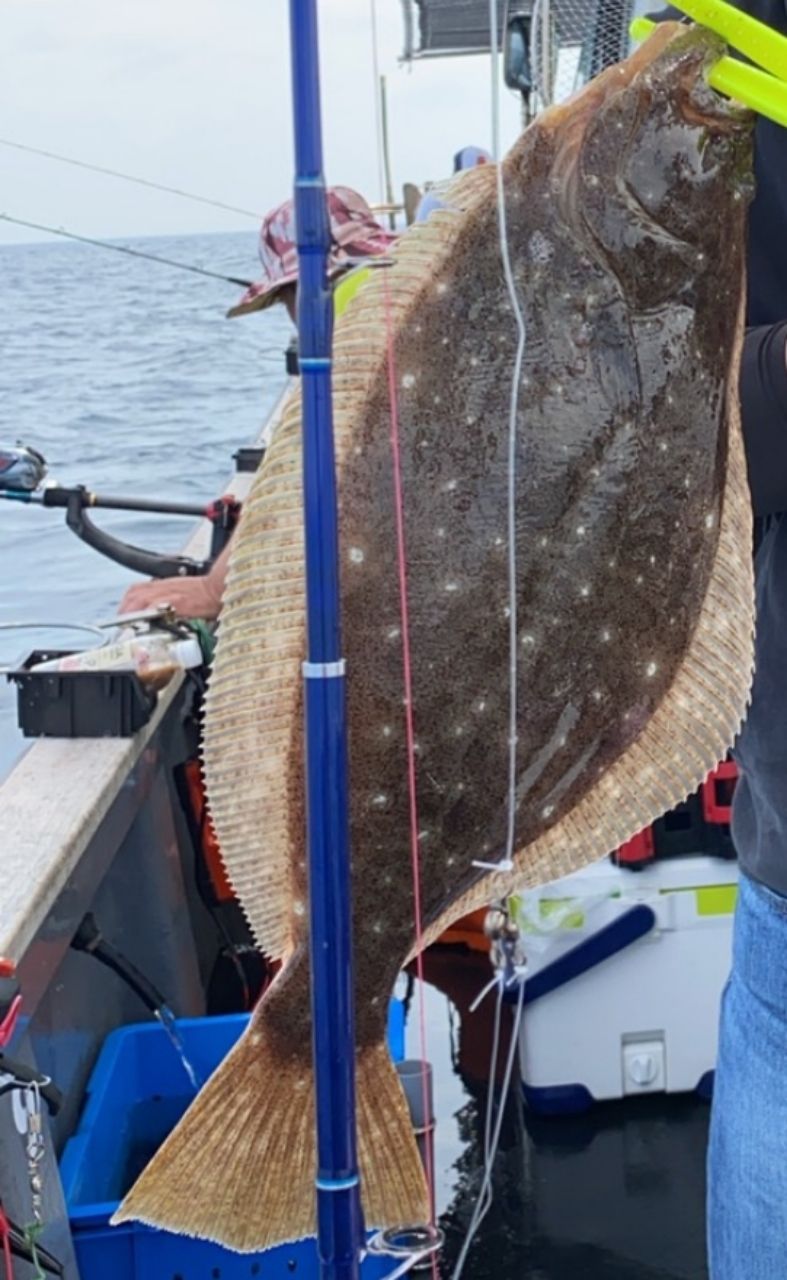 瀬戸内@LINEさんの釣果 2枚目の画像