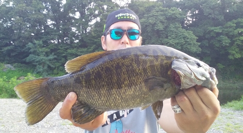 スモールマウスバスの釣果