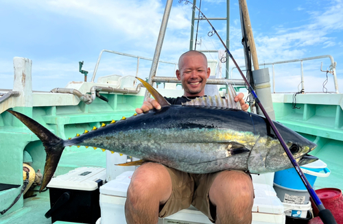 キハダマグロの釣果