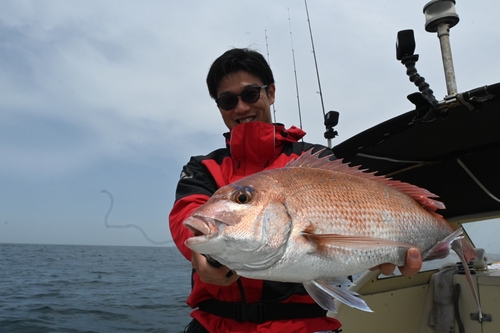 マダイの釣果