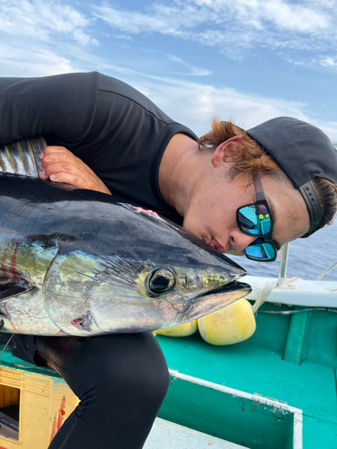 キハダマグロの釣果