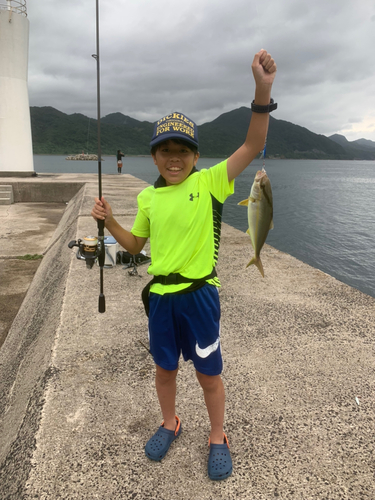 ショゴの釣果