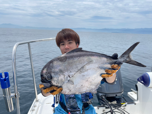 シマガツオの釣果