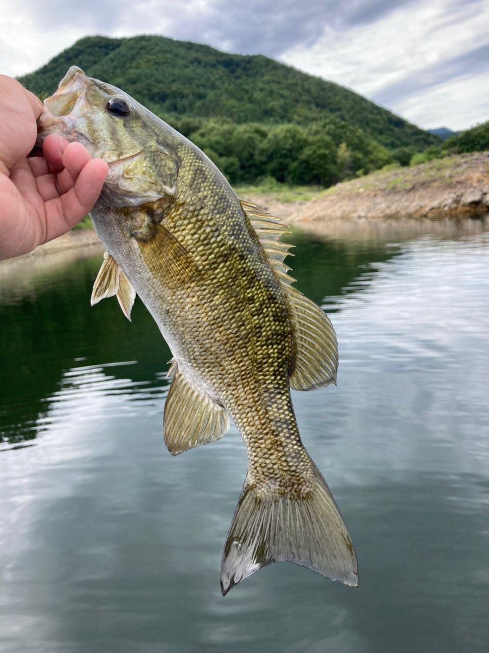 スモールマウスバス