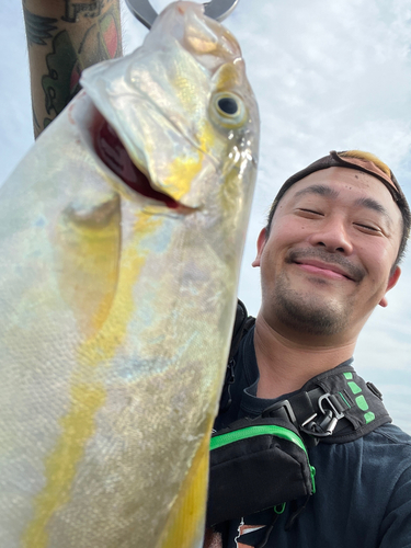 ショゴの釣果