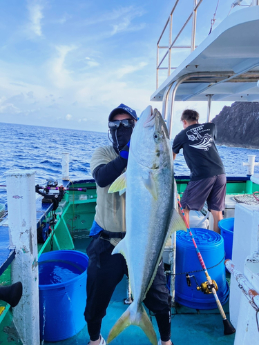 ヒラマサの釣果