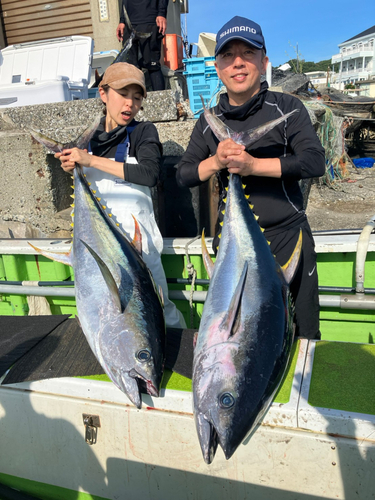 キハダマグロの釣果