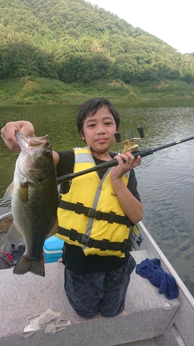 ブラックバスの釣果