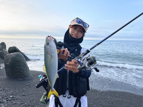 ワカシの釣果