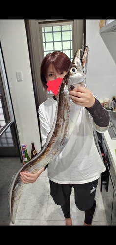 タチウオの釣果