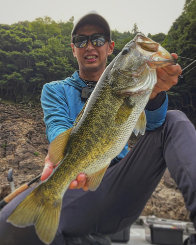 ブラックバスの釣果