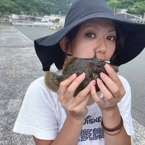 カワハギの釣果