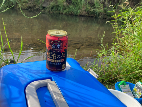 コアユの釣果