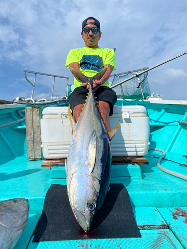 キハダマグロの釣果