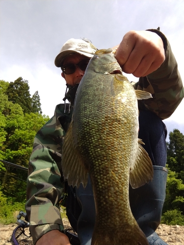 スモールマウスバスの釣果