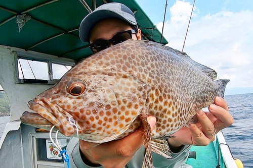 オオモンハタの釣果