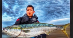 ワラサの釣果