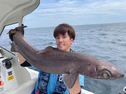 モミジザメの釣果