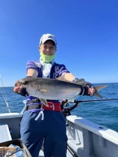 カンパチの釣果
