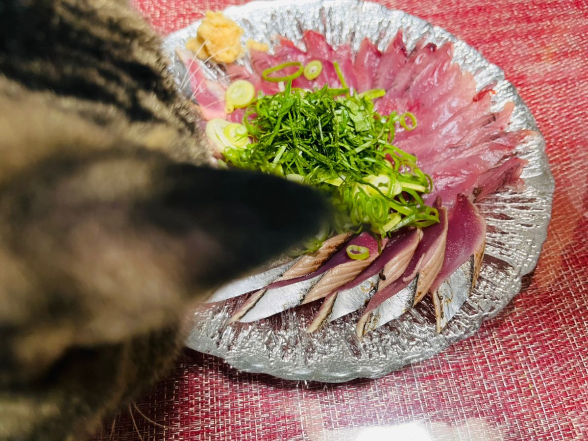 あや🐟さんの釣果 3枚目の画像