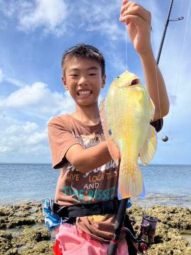 マクブの釣果