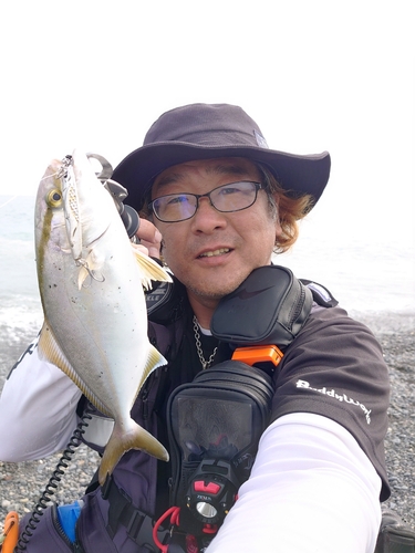 ショゴの釣果